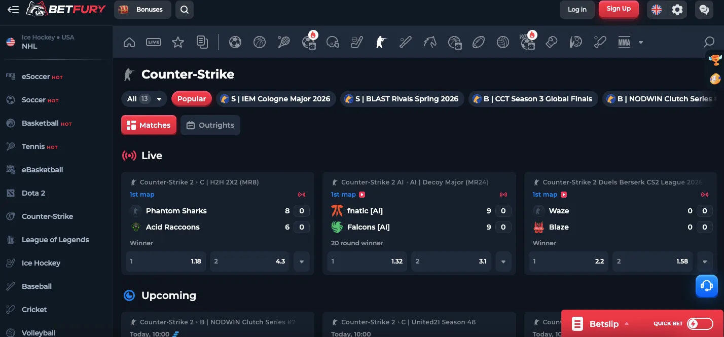 BetFury esports section