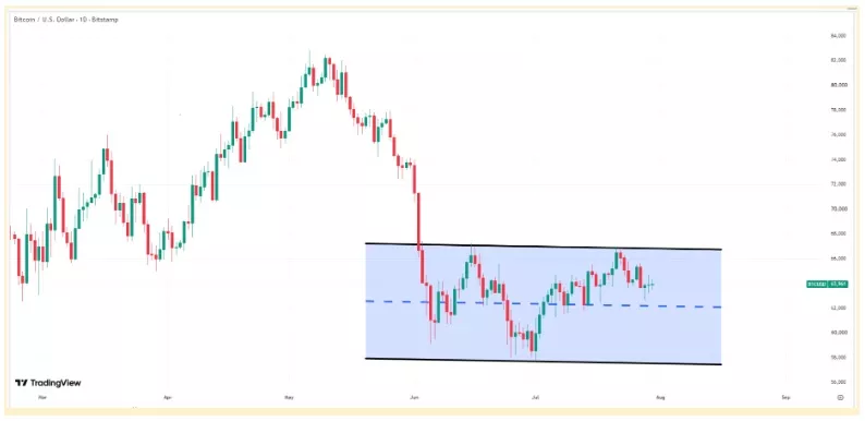 Bitcoin price daily chart. | Credit: TradingView